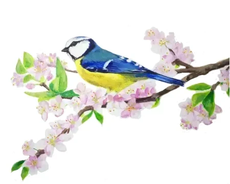 Mag & merveilles peinture décorative murale inspirée nature oiseau mésange bleue sur branche de cerisier hyperrealisme Nantes idée déco tendance