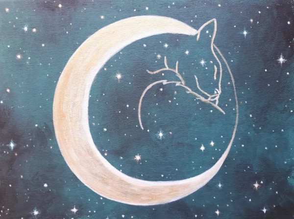 MagetMerveilles peinture decorative à Nantes idee déco murale tendance et originale sur mesure chat dans un croissant de lune ciel étoilé