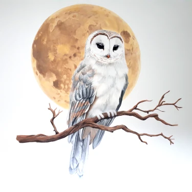 Mag & merveilles artisan muraliste nantes idee deco nature chouette lune peinture unique personnalisée alternative papier peint